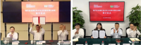 中國寶武，究竟儲備了多少鐵礦？